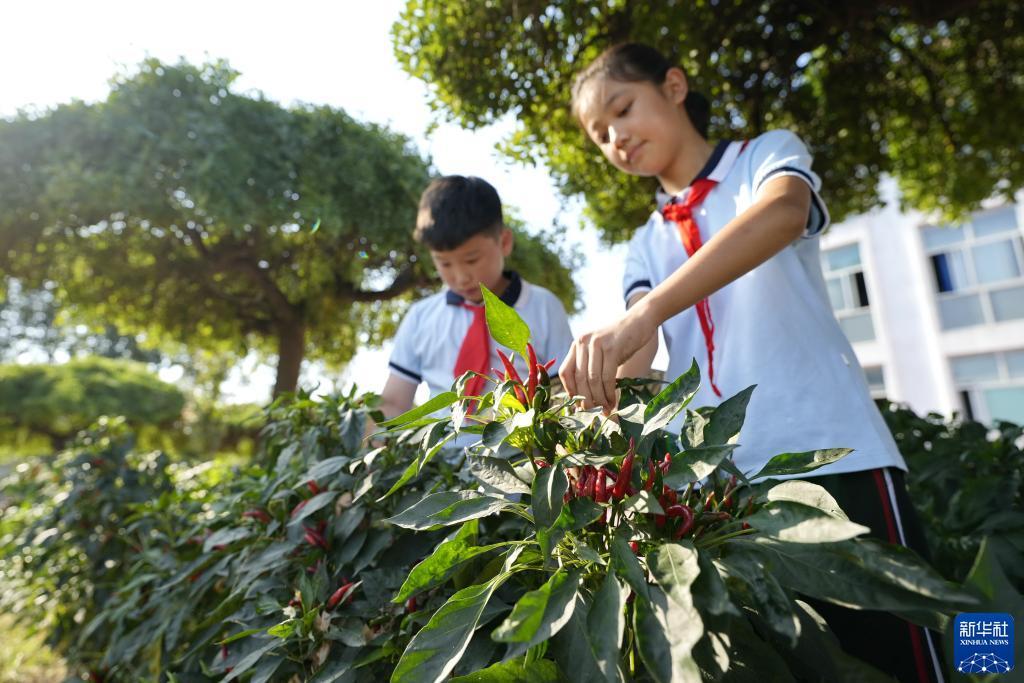 虎极地论坛官网